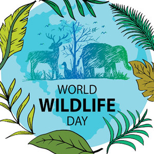 World Wildlife Day