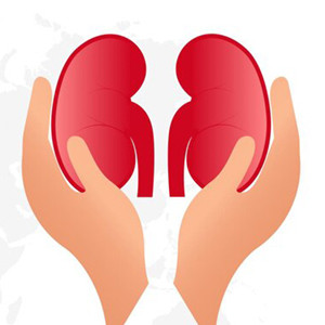World Kidney Day