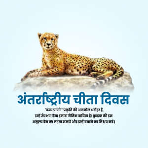 International Cheetah Day