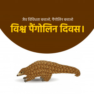 World Pangolin Day