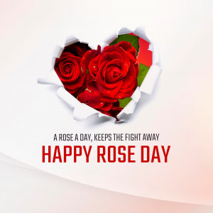 Rose Day