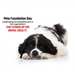 PETA Foundation Day