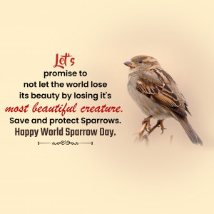 World Sparrow Day