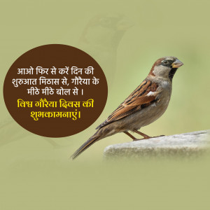 World Sparrow Day