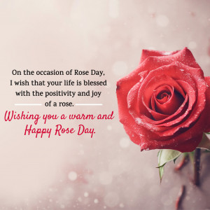 Rose Day