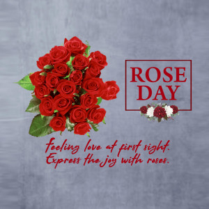 Rose Day