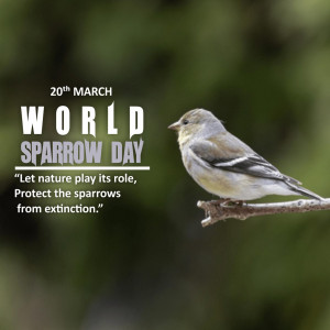 World Sparrow Day