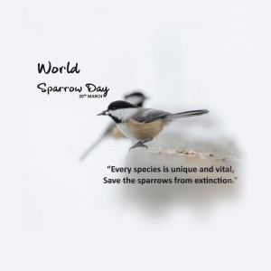 World Sparrow Day