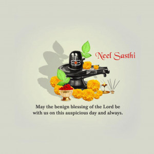 Neel Sashti