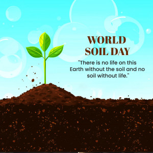 World Soil Day
