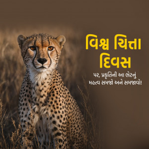 International Cheetah Day