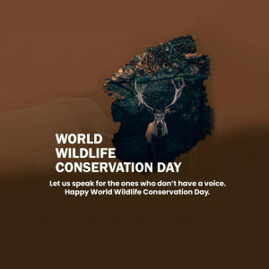 Wildlife Conservation Day
