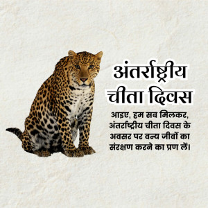 International Cheetah Day