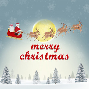 Merry Christmas