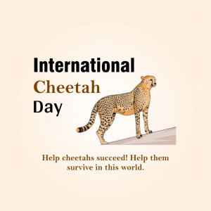 International Cheetah Day