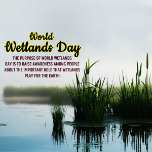 World Wetlands Day