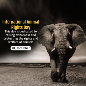Animal Rights Day