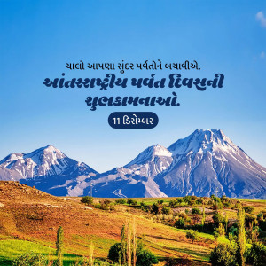 International mountain day