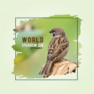 World Sparrow Day