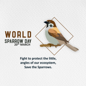 World Sparrow Day