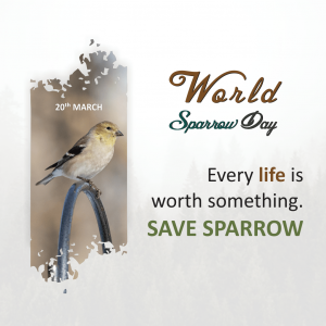 World Sparrow Day